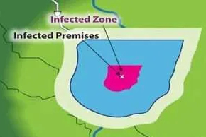Boseccurity map SD Summer 25 web.jpeg